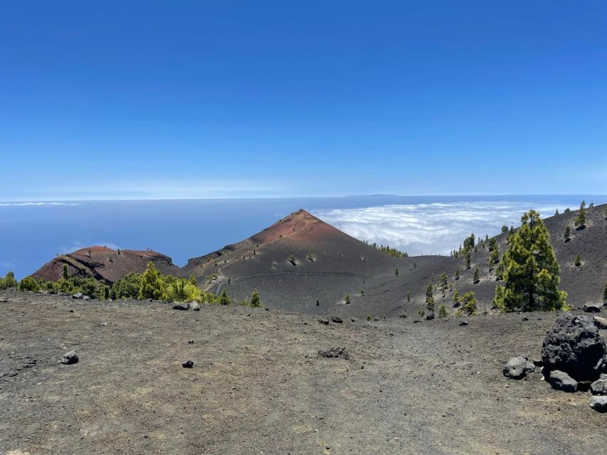 La Palma: Guided Trekking Tour to Volcanoes South - Tour Overview and Pricing