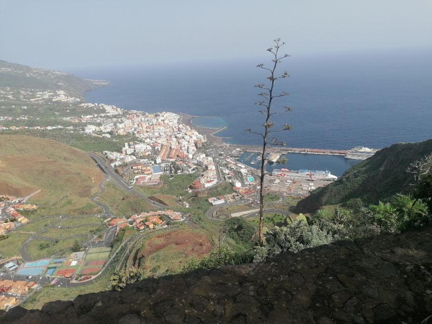 La Palma: Island Highlights Guided Bus Tour - Tour Overview and Pricing