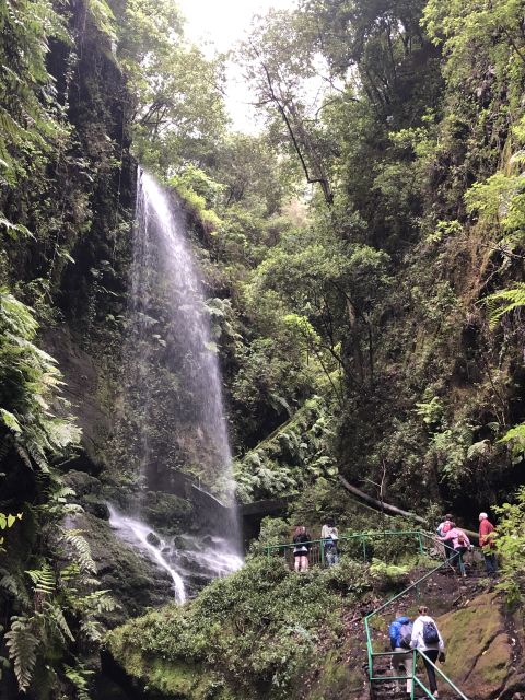 La Palma: North Island Bus Tour With Ron Aldea Distillery - Tour Overview