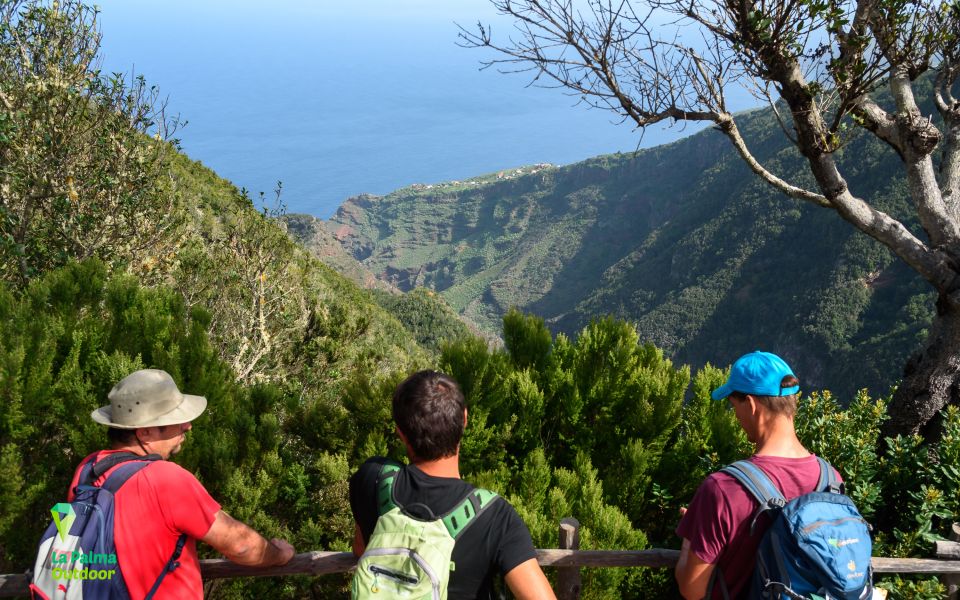 La Palma: Zarza Archaeological Park Guided Trek - Tour Overview