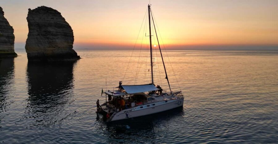 5 Best Dolphin Watching Tours In Sicily