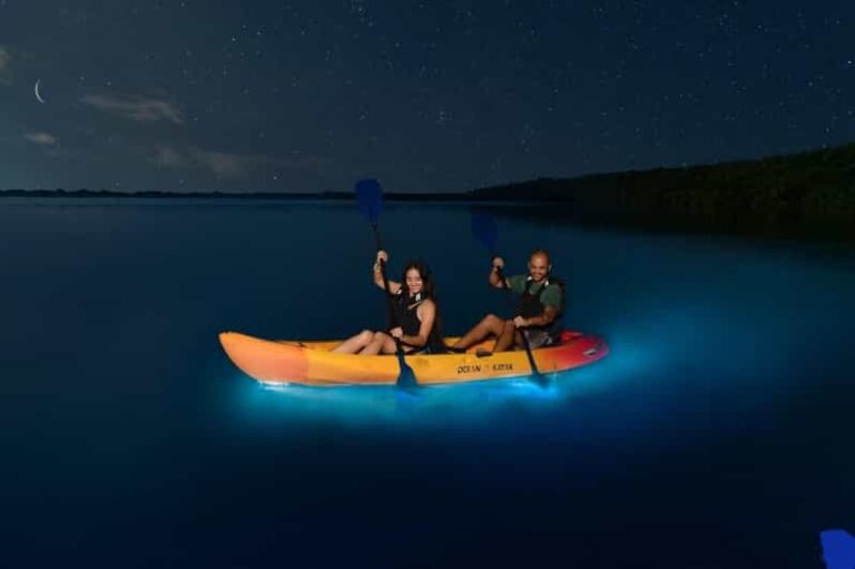 Lan Ha Bay: Bioluminescent Kayak Tour: Sunset, Diner, Ticket