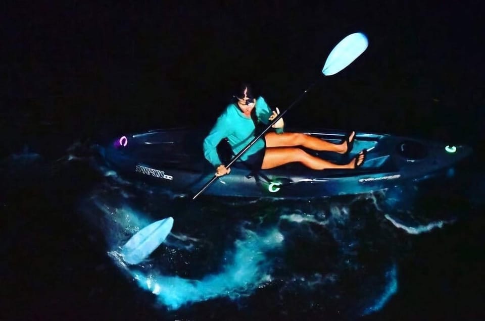 Lan Ha Bay | Night Kayaking Explore Bioluminescence Plankton - Overview of Night Kayaking