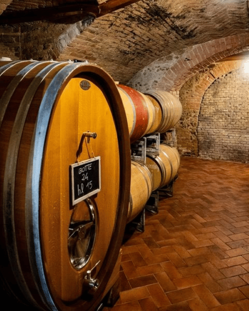 Langhe Wine Tour With a Winemaker - Wine Tasting Experience