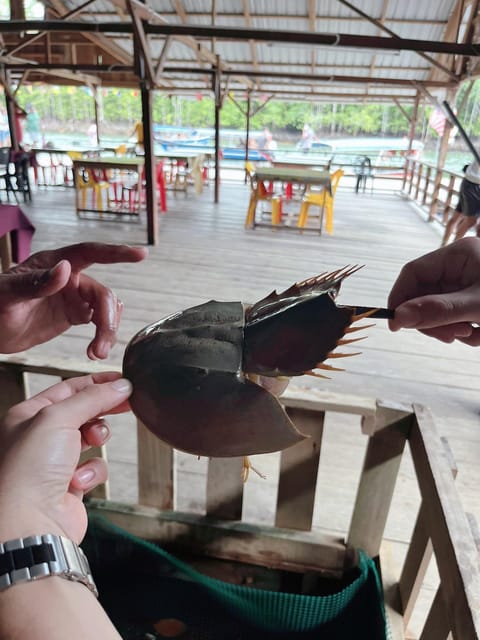 Langkawi: Half-Day Private Kilim River Mangrove Boat Tour - Tour Overview and Pricing