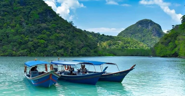 Langkawi: Mangrove Tours With Options