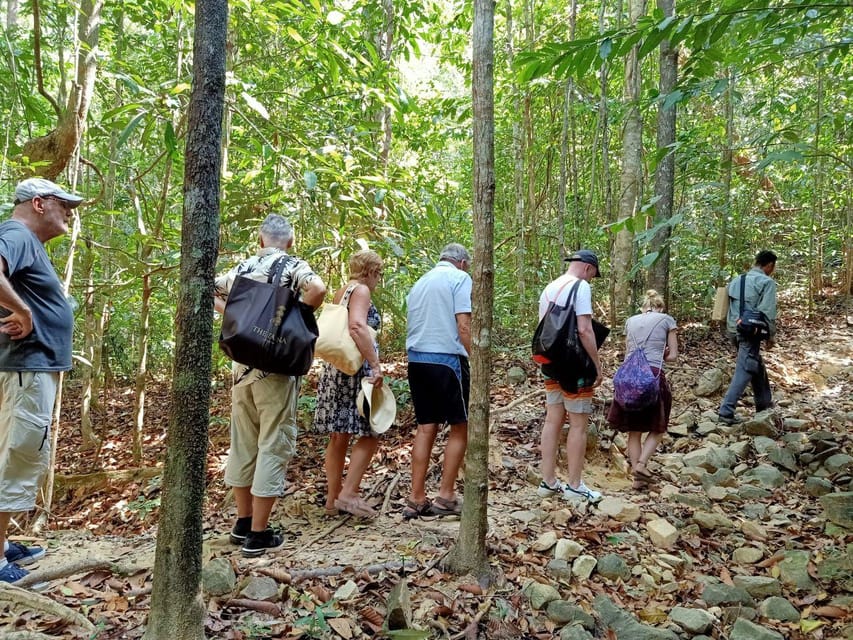 Langkawi: Morning Rainforest Walking Tour - Overview of the Tour