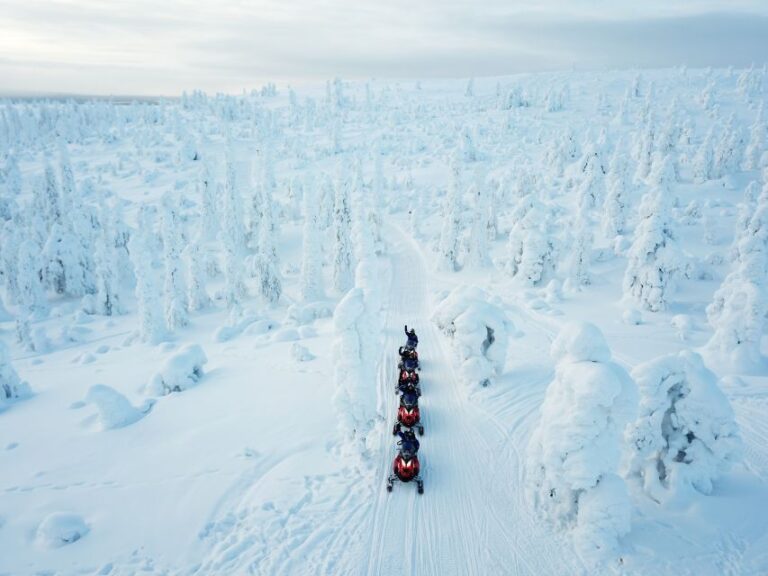 Lapland: Full-Day Snowmobile Safari Into the Wilderness