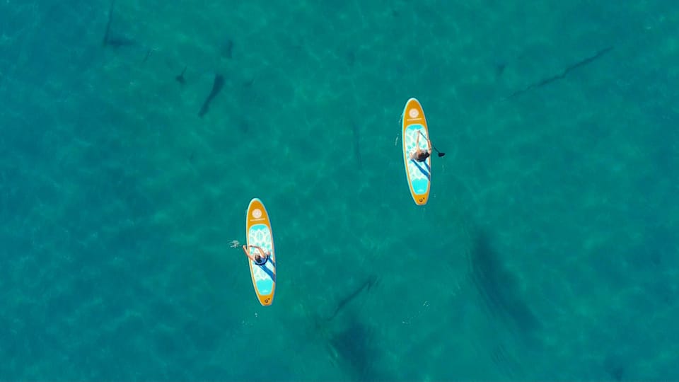 Las Vegas: Paddle Board (Sup) Tours at Lake Mead