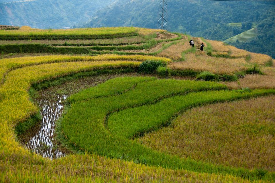 Legazpi: Mayon Volcano ATV Tour - Tour Overview