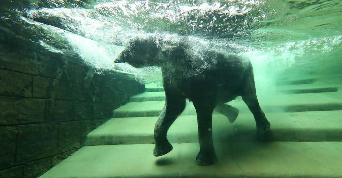 Leipzig: Zoo Admission Ticket - Ticket Details