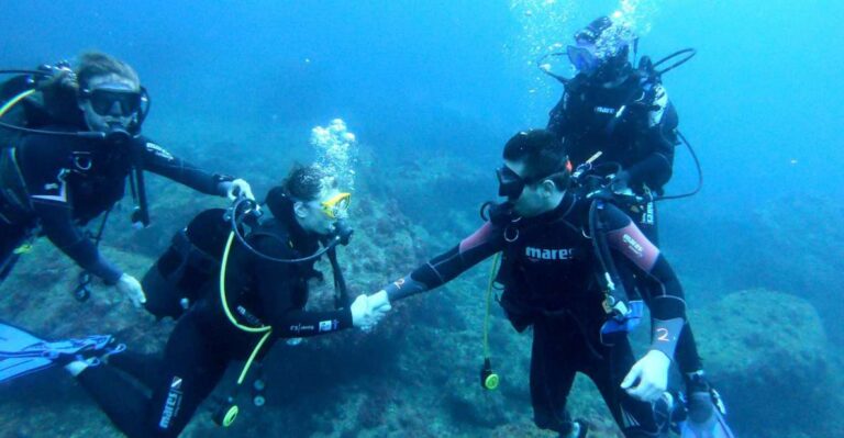 LEstartit: Dive and Snorkeling in Montgrí Natural Park