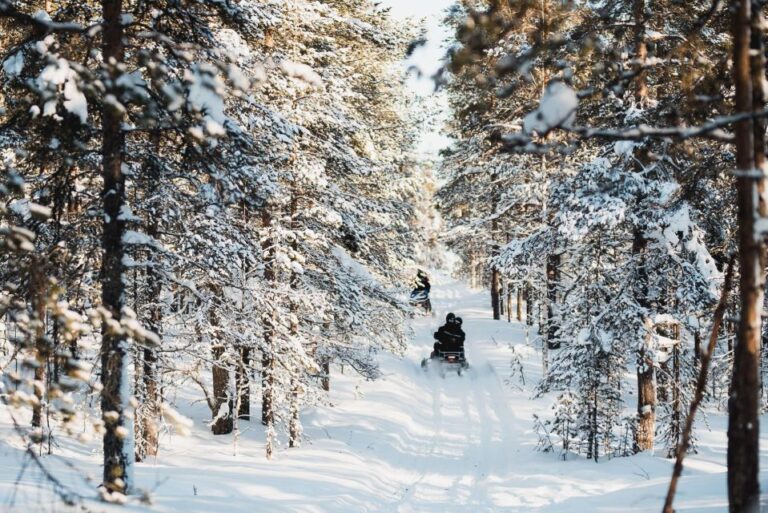 Levi: 3 Hour Snowmobile Safari Around Levi With Coffee Break