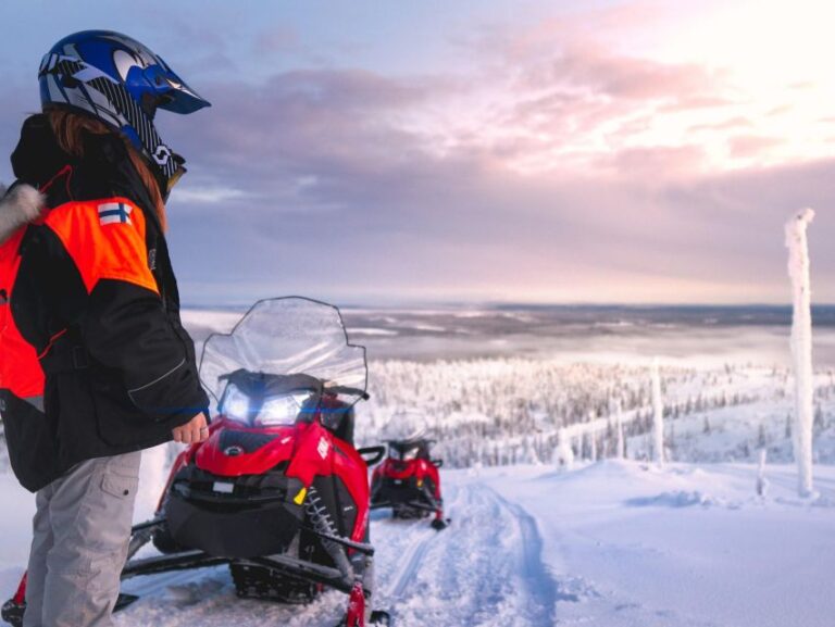 Levi: 4 Hour Snowmobile Safari to the Fells in Levi