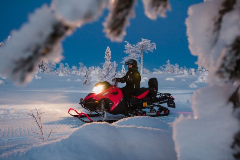 Levi: Evening Snowmobile Safari