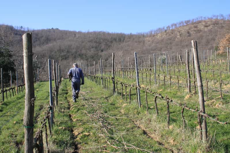 LIMITED EDITION WINE & HEROIC RECIPES: TASTE OF TUSCANY