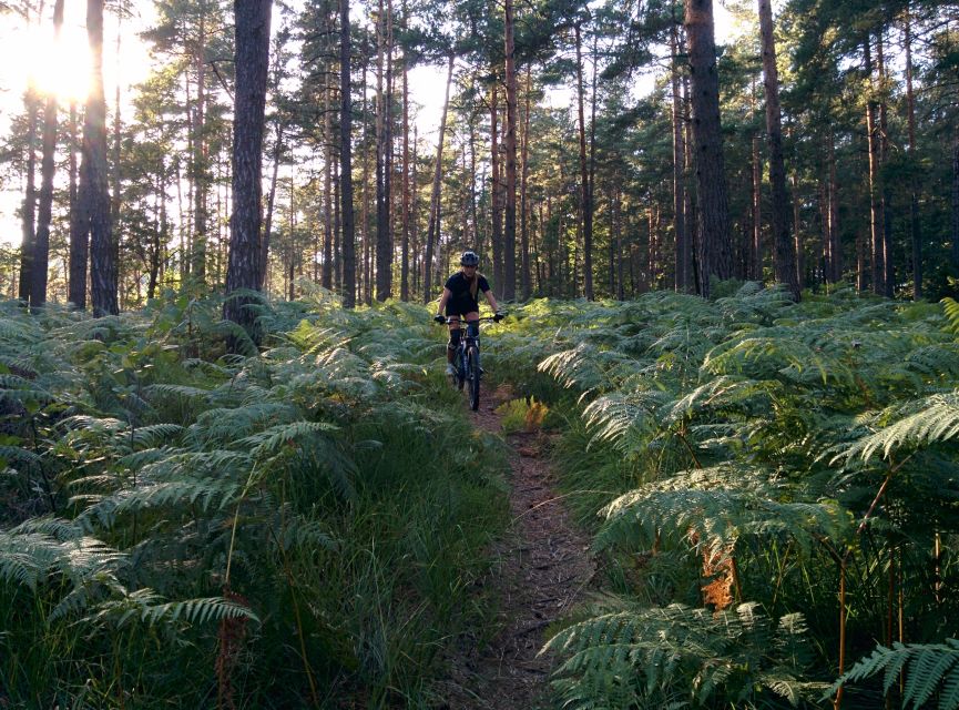 Ljubljana: City Center and Golovec Trails Mountain Bike Tour