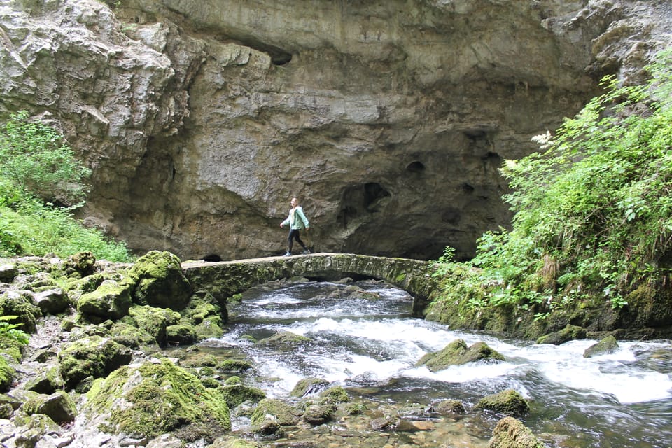 Ljubljana: Škocjan Caves, Rakov Škocjan & Marshes Tour - Tour Overview and Pricing