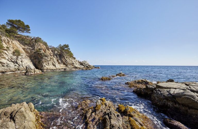 Lloret De Mar: Costa Brava Kayak Tour and Swimming