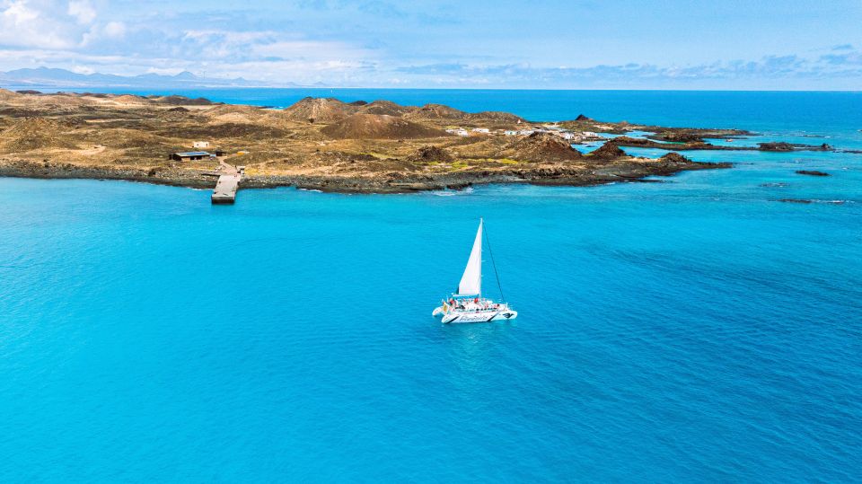 Lobos Island: 4-Hour Catamaran Trip With Lunch - Trip Overview and Pricing