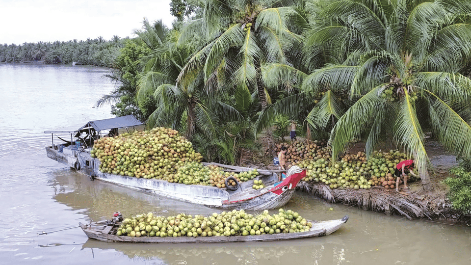 Local Touch-Less Touristy Mekong Delta Ben Tre Day Trip - Detailed Itinerary