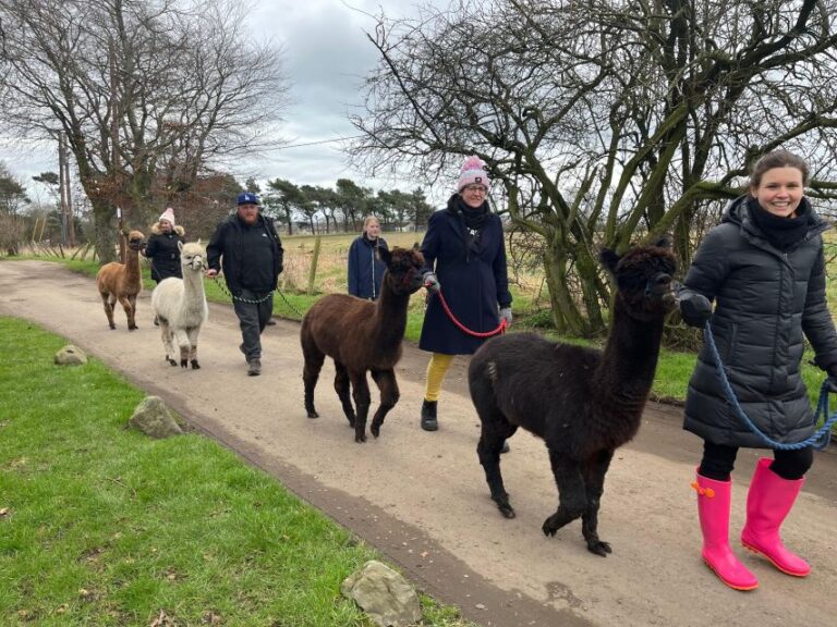 Loch Ness: Full Day Private Tour With Alpaca Adventure