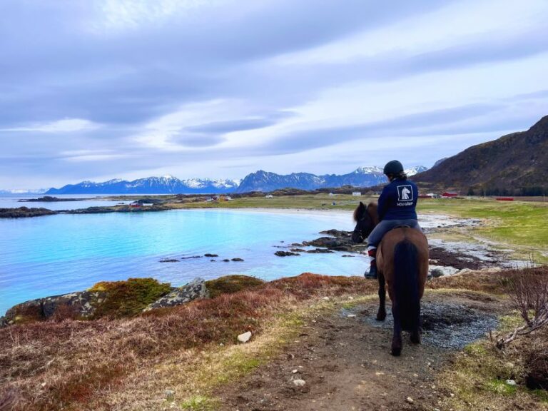 Lofoten: Guided Horse Riding Tour Over Hov and Hovsund