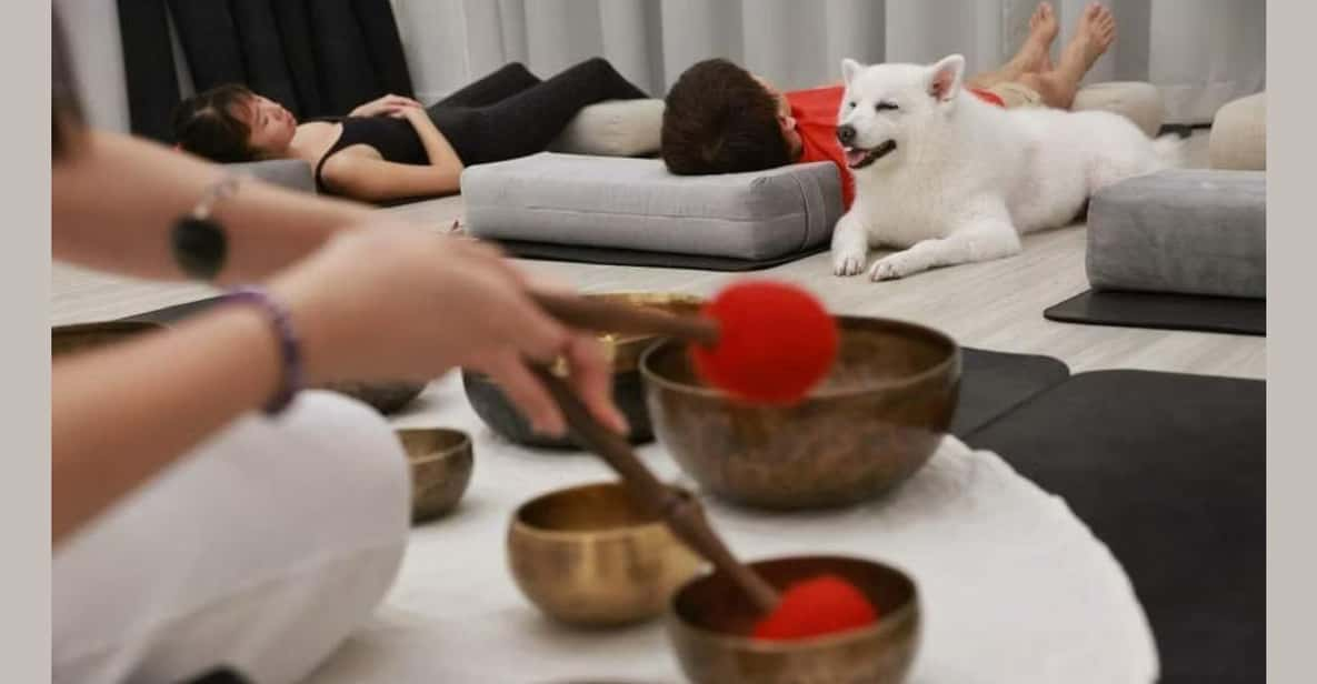 Los Angeles: Private Sound Bath & Reading for You & Your Dog - Experience Highlights