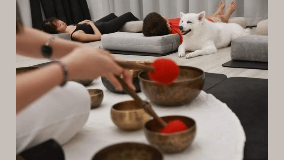 Los Angeles: Private Sound Bath & Reading for You & Your Dog - Sound Bath Details