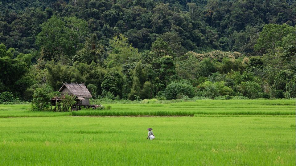 Luang Prabang: Countryside Mountain Bike Tour With Lunch