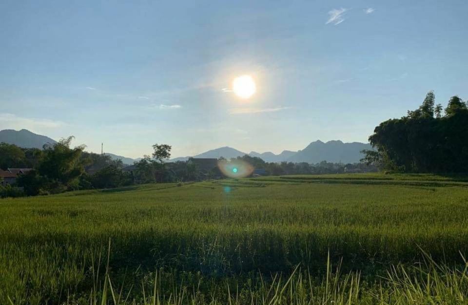 Luang Prabang: Evening Cooking Class & Local Baci Ceremony - Overview of the Experience