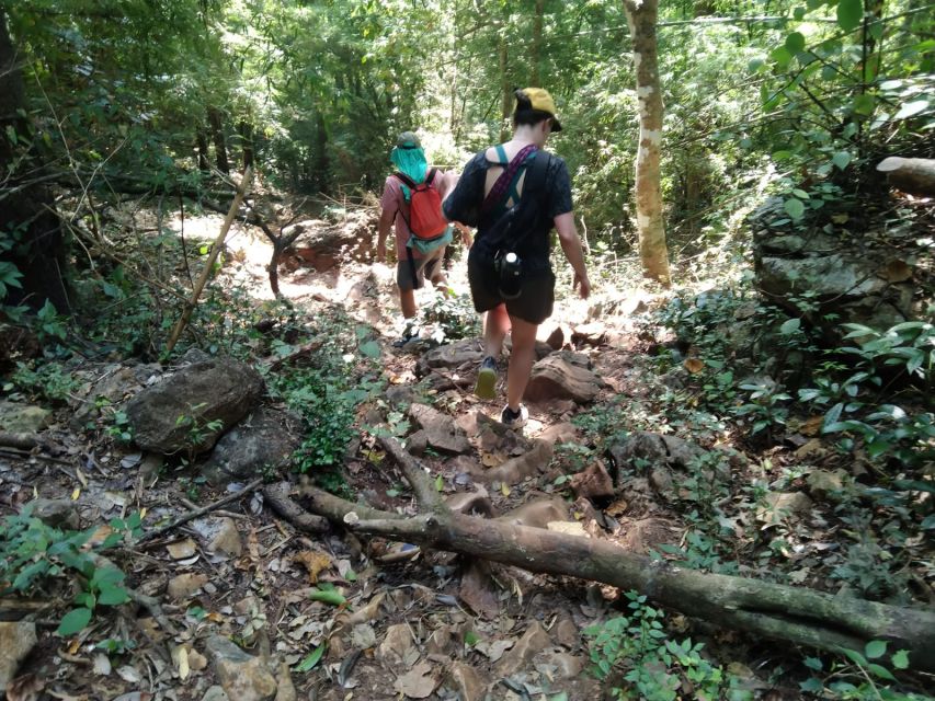 Luang Prabang Trekking Longlao to Kuang Si Falls Full Day - Overview of the Trek