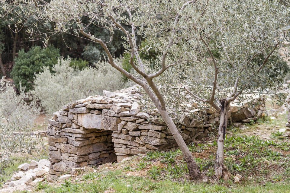 Luberon: Plague Wall Bike Ride - Overview of the Bike Ride