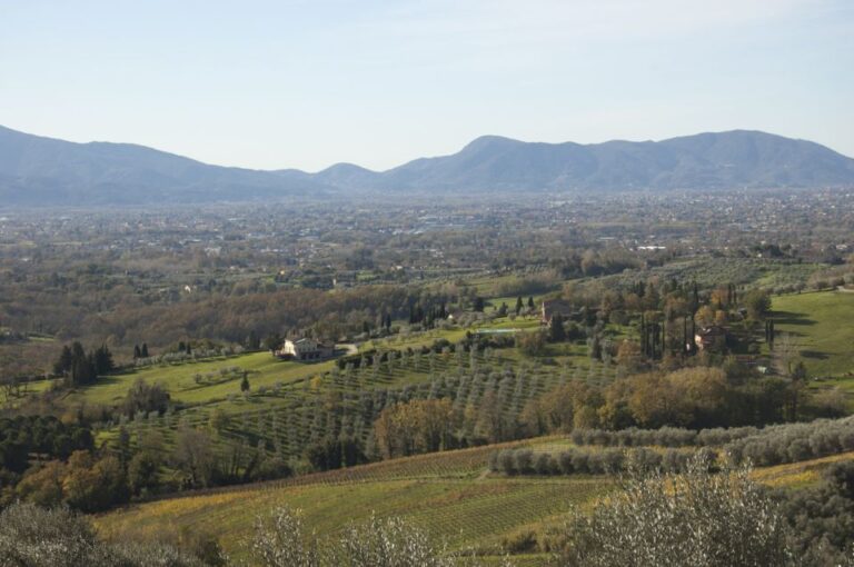 Lucca: Trekking Bike Rental