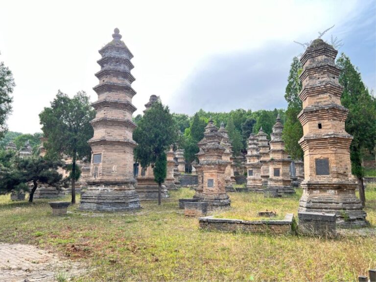 Luoyang Private Day Tour to Shaolin Temple&Longmen Grottoes