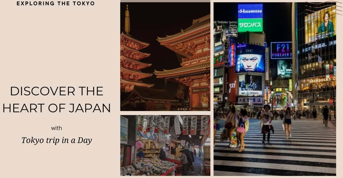 Luxe Travels: Private Tokyo Day Trip Itinerary - Itinerary Highlights