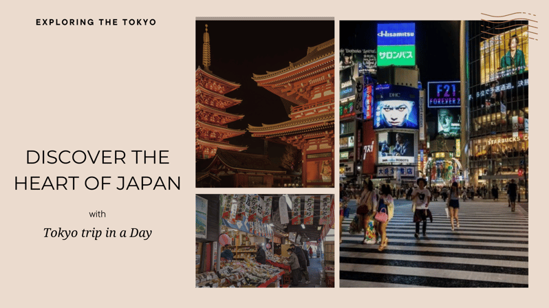 Luxe Travels: Private Tokyo Day Trip Itinerary - Cultural Insights