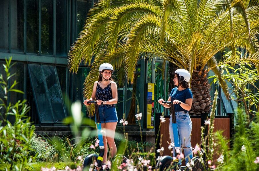 Lyon: City Segway Tour With a Local Guide