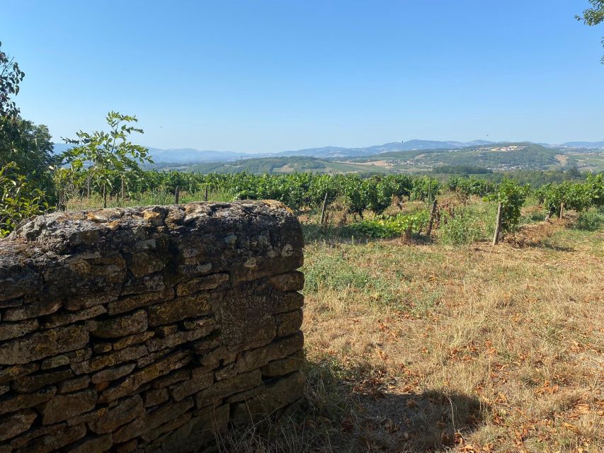 Lyon: Self-Guided Hike in the Beaujolais (Train & Picnic) - Overview and Pricing