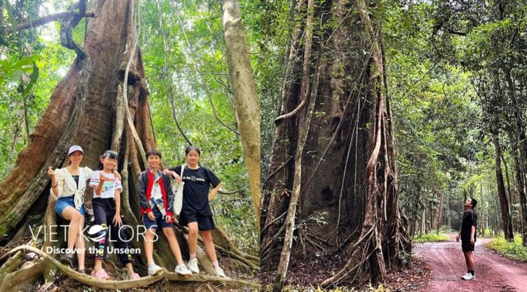 Ma Da Tropical Forest Trekking & Tri An Lake Paddleboarding