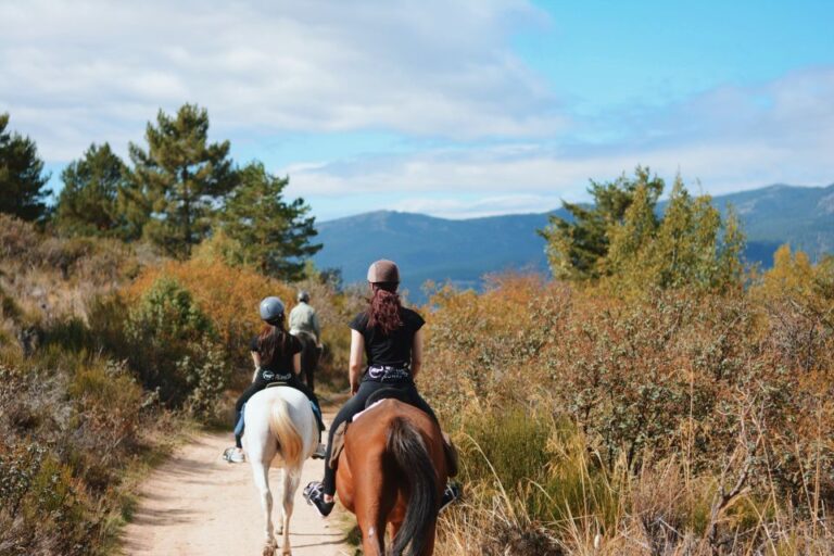 Madrid: Horse Riding in Sierra Del Guadarrama National Park