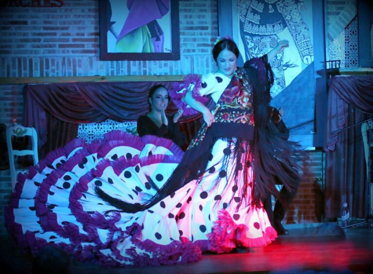 Madrid: the Flamenco Show With Tapas and Wine Ticket