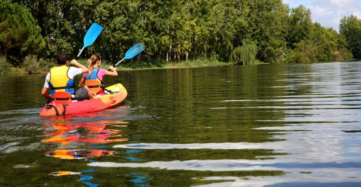 Maine: Half-Day Double Kayak Rental - Experience Highlights