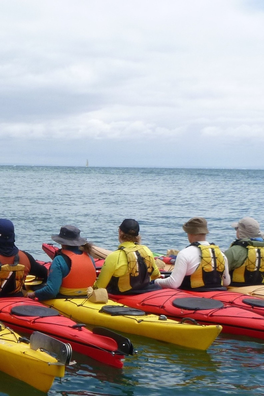 Maine: Penobscot River Guided Kayaking Tour - Frequently Asked Questions