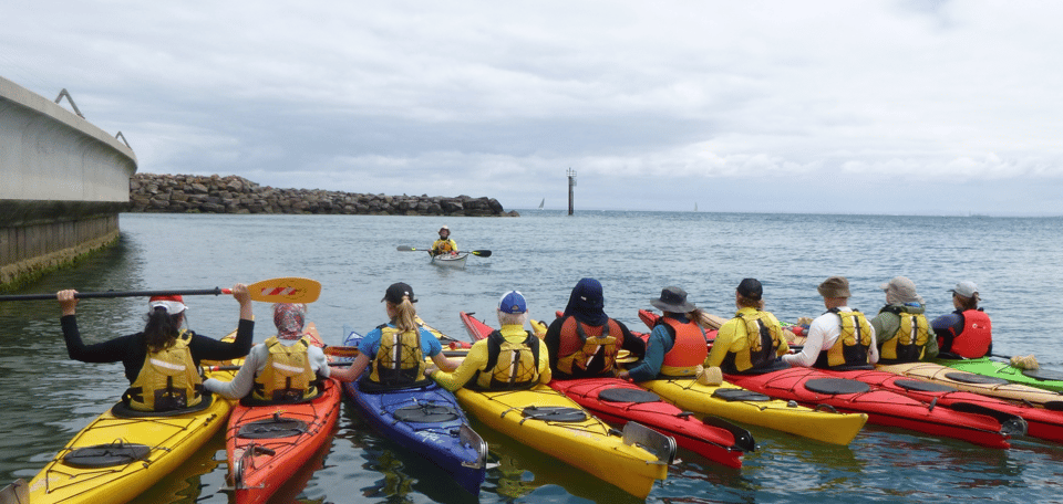 Maine: Penobscot River Guided Kayaking Tour - Experience Highlights