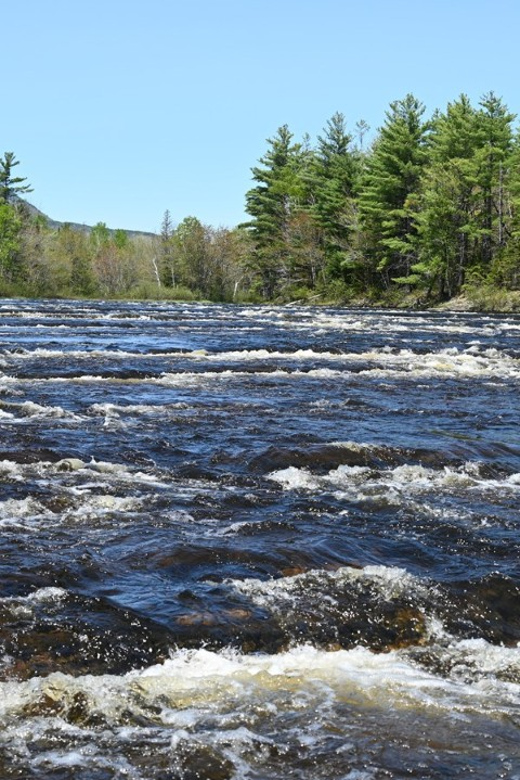 Maine: Penobscot Up River Boat Charter Guided Tour - Cruise Details