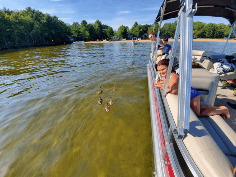Maine: Penobscot Up River Boat Charter Guided Tour - Experience Highlights