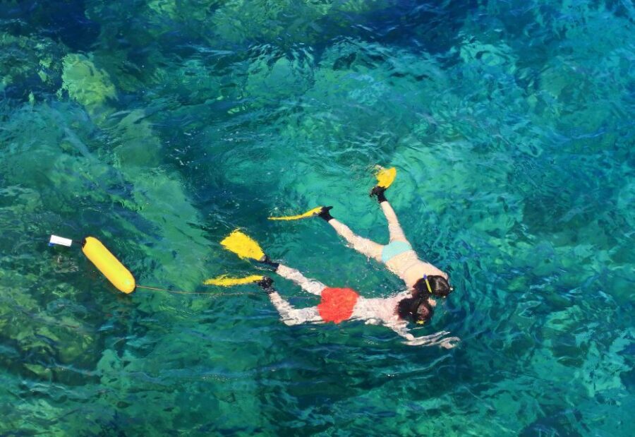 Maio: Reef Snorkeling
