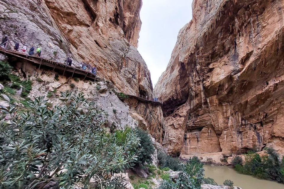 Málaga or Rincón De La Victoria: Caminito Del Rey Day Trip - Trip Overview