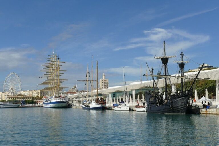 Malaga: Private Walking Tour